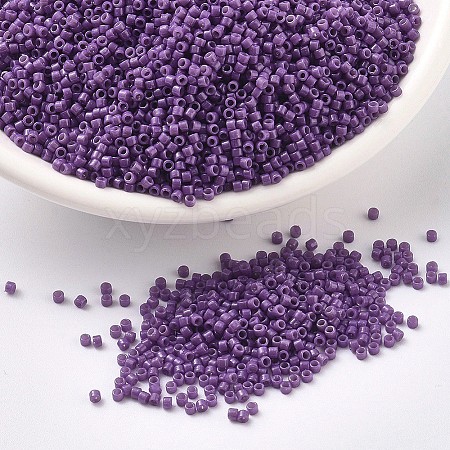 MIYUKI Delica Beads X-SEED-J020-DB2140-1