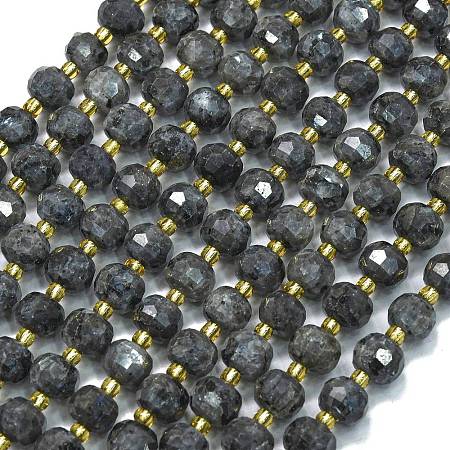 Natural Labradorite Beads Strands G-K389-E75-01-1