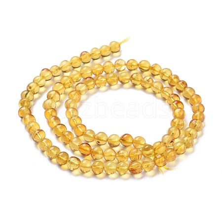 Natural Amber Beads Strands G-K308-C01-5mm-1