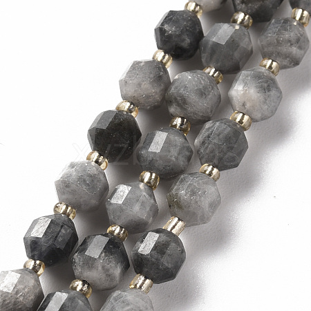 Natural Labradorite Beads Strands X-G-S362-085A-1