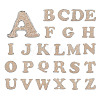 26 Letters Cloth Iron/Sew on Patches PJ-TAC0004-04B-1
