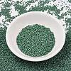 MIYUKI Delica Beads SEED-X0054-DB2311-3