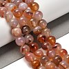 Natural Agate Beads Strands G-G175-A02-01-2