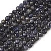 Natural Iolite Beads Strands G-J400-E05-02B-1