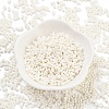 Baking Paint Glass Seed Beads SEED-A033-05D-2