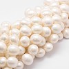 Shell Pearl Bead Strands BSHE-L028-01-16x18-1