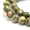 Natural Rhyolite Jasper Bead Strands G-G684-01-8mm-4