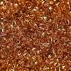 TOHO Round Beads X-SEED-TR11-0753-2