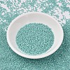 MIYUKI Delica Beads SEED-MY11-DB1576-2