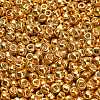 TOHO 6/0 Round Beads X-SEED-TR06-0557-2