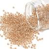 MIYUKI Round Rocailles Beads X-SEED-G008-RR0234-1