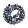 Natural Blue Spot Stone Beads Strands G-K382-A12-02-3