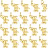 CHGCRAFT 20Pcs Alloy Charms KK-CA0003-59-1