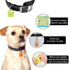 40Pcs 5 Colors Transparent Blank Acrylic Pet Dog ID Tag PALLOY-AB00047-5