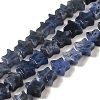 Natural Sodalite Beads Strands G-G085-B18-02-1