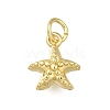 Brass Charms ZIRC-I070-085G-1