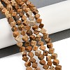 Natural Picture Jasper Beads Strands G-A257-A21-01-2