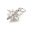 Brass Micro Pave Cubic Zirconia Pendants LS-KK-V008-09P-2