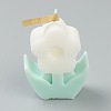 Flower Shaped Aromatherapy Smokeless Candles DIY-C001-02A-1