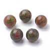 Natural Unakite Beads G-S289-03-10mm-1