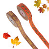 2 Rolls 2 Styles Thanksgiving Day Themes Polyester Ribbon OCOR-TA0003-29B-1