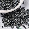 MIYUKI Round Rocailles Beads X-SEED-G008-RR2002-1