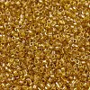 MIYUKI Delica Beads SEED-J020-DB2372-3