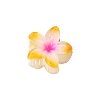 Plastic Claw Hair Clips PW-WG07B2B-10-1