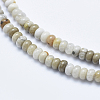 Natural Silver Leaf Jasper Beads Strands G-E444-36B-3