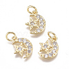 Brass Micro Pave Cubic Zirconia Charms ZIRC-F111-20G-1