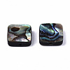 Natural Abalone Shell/Paua Shell Beads SSHEL-T014-12A-2