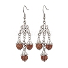 Natural Rudraksha Dangle Earrings EJEW-TA00537-1