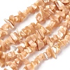 Freshwater Shell Beads Strands BSHE-O017-11-1