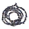 Natural Sodalite Chips Beads Strands X-F024-8