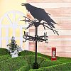 Crow Iron Wind Direction Indicator AJEW-WH0034-65-4
