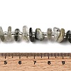Natural Green Rutilated Quartz Beads Strands G-L649-C02-01-5
