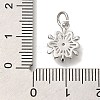 Rack Plating Brass Micro Pave Cubic Zirconia Charms KK-I720-37P-3