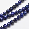 Natural Lapis Lazuli Round Bead Strands G-E262-01-10mm-2