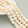 Natural Cultured Freshwater Pearl Beads Strands PEAR-C003-09F-5