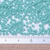 MIYUKI Round Rocailles Beads SEED-G007-RR0412L-4