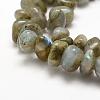 Natural Labradorite Beads Strands G-P302-13-3