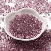 Baking Paint Glass Seed Beads SEED-K009-03B-10-2