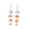 Natural Agate Dangle Earrings for Women EJEW-TA00553-04-1