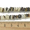 Natural Black Lip Shell Beads Strands BSHE-G039-02-4