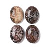 Natural Leopard Skin Jasper Cabochons G-B080-01A-10-1