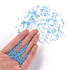 11/0 FGB Grade A Transparent Glass Seed Beads X-SEED-N001-F-256-4