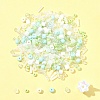 2 Sets Glass Seed Beads DIY-FS0008-27B-7