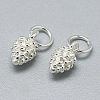 925 Sterling Silver Charms STER-T002-297S-2