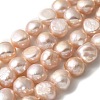 Natural Cultured Freshwater Pearl Beads Strands PEAR-A006-10F-1