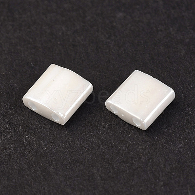 MIYUKI TILA Beads SEED-MY05-TL420-1